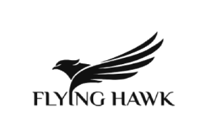 flying-hawk